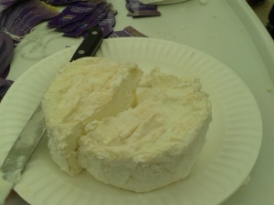 Camelbert cheese
